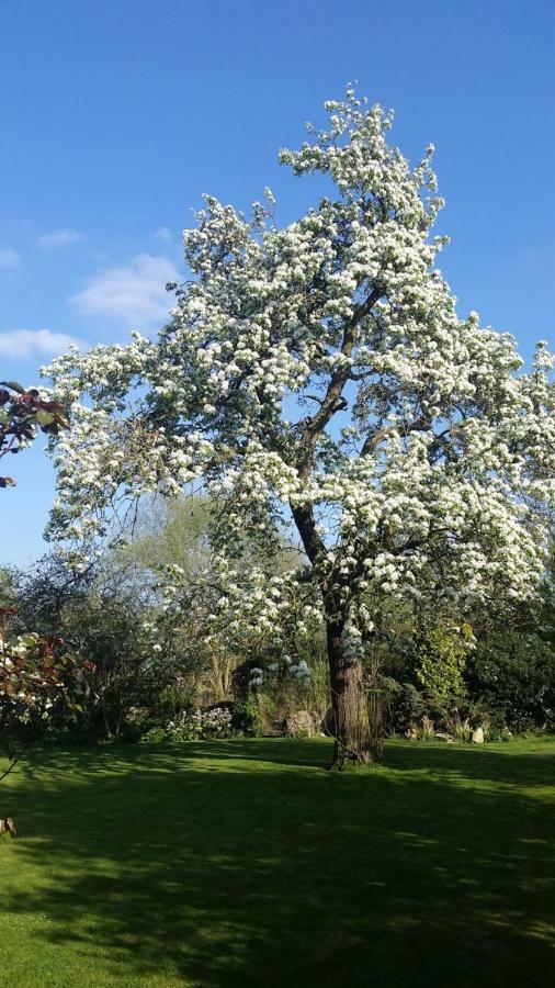 Marston Moreteyne Upper Wood End Farm B&B 외부 사진