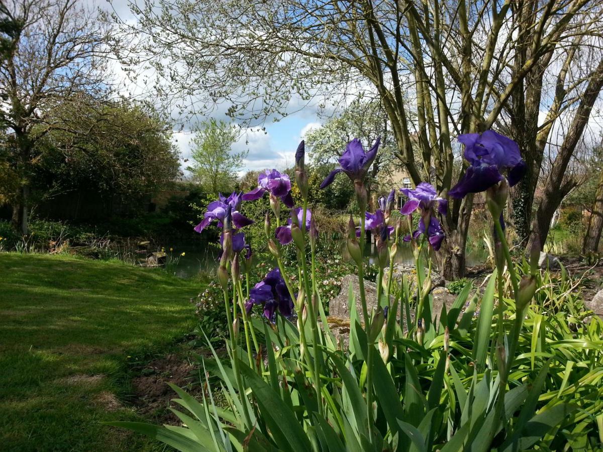 Marston Moreteyne Upper Wood End Farm B&B 외부 사진