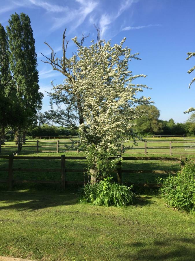 Marston Moreteyne Upper Wood End Farm B&B 외부 사진